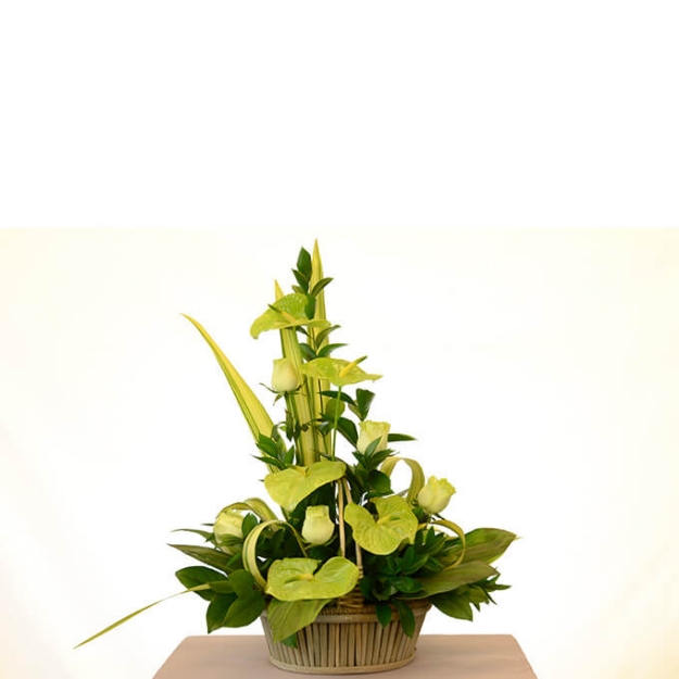 Picture of Emerald Jewel Arrangement