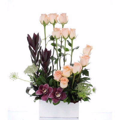 Show details for Contemporary Pick your Colour Roses Florist in Calgary