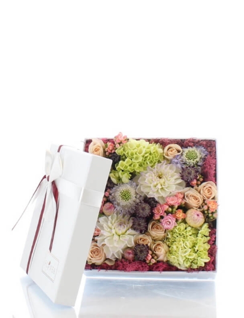 Picture of Flower Box