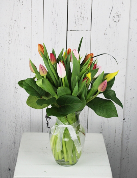 Picture of Tulips for Christmas