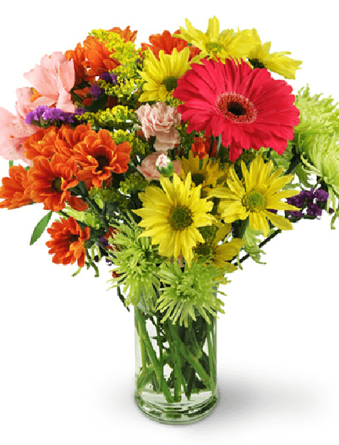 Picture of Flower Festival