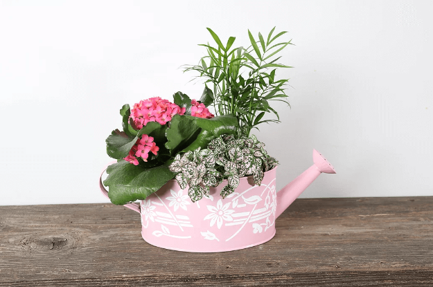 Picture of Mothers Day Planter - Watering Can