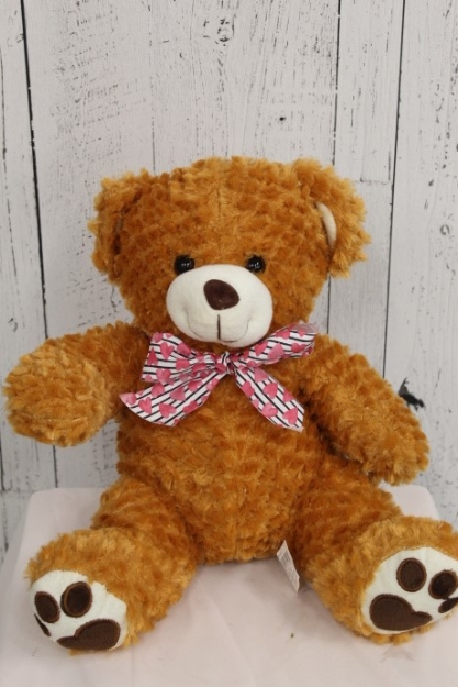 Picture of Large Plush 