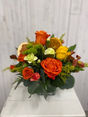 Show details for Vibrant Citrus Picture of Vibrant Citrus