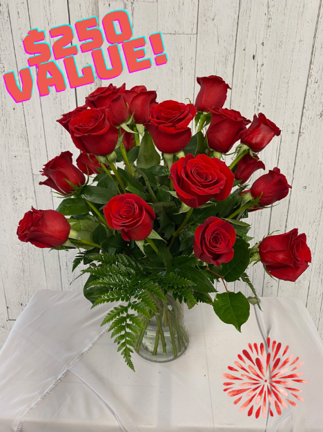 Picture of 24 Premium Red Roses 