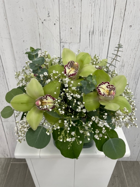 Picture of Adorable Orchids 